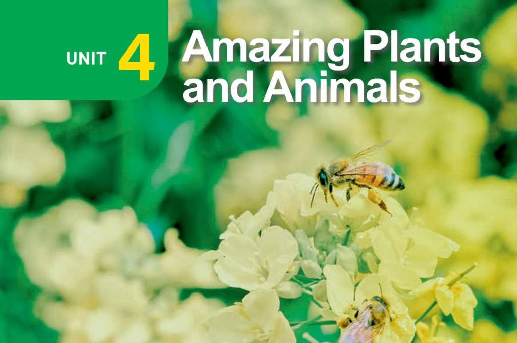 图片[1]-人教版2025最新八年级上册英语Unit 4单词课文文本+听力-温故知新